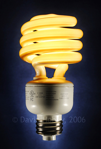 Fluorescent Bulb